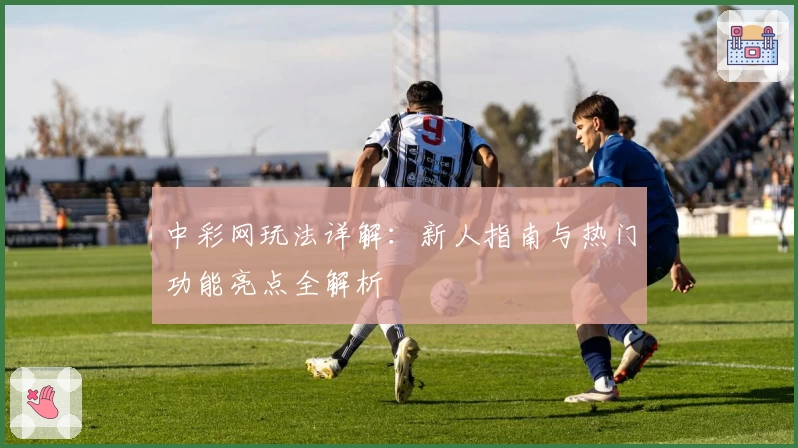 中彩网玩法详解：新人指南与热门功能亮点全解析