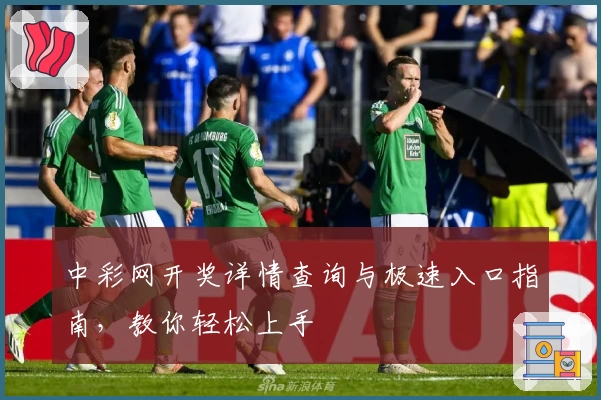 中彩网开奖详情查询与极速入口指南，教你轻松上手