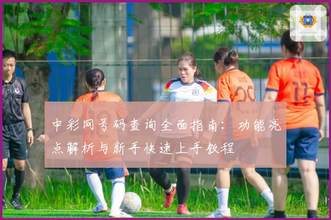 中彩网号码查询全面指南：功能亮点解析与新手快速上手教程