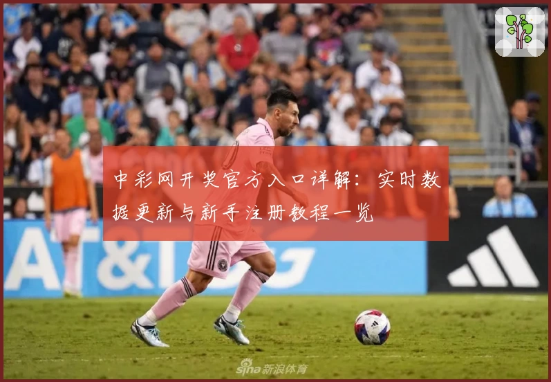 中彩网开奖官方入口详解：实时数据更新与新手注册教程一览