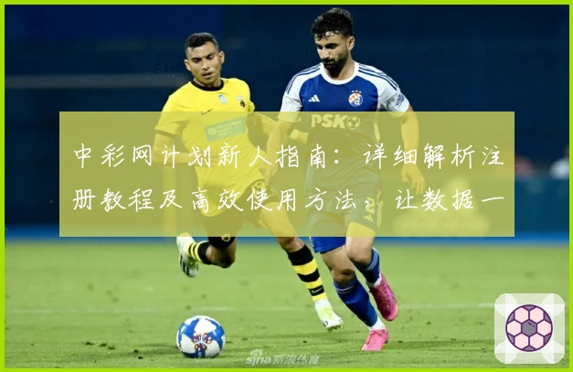 中彩网计划新人指南：详细解析注册教程及高效使用方法，让数据一目了然