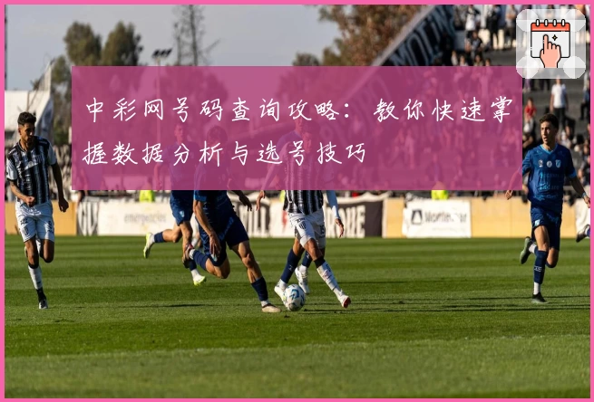 中彩网号码查询攻略：教你快速掌握数据分析与选号技巧