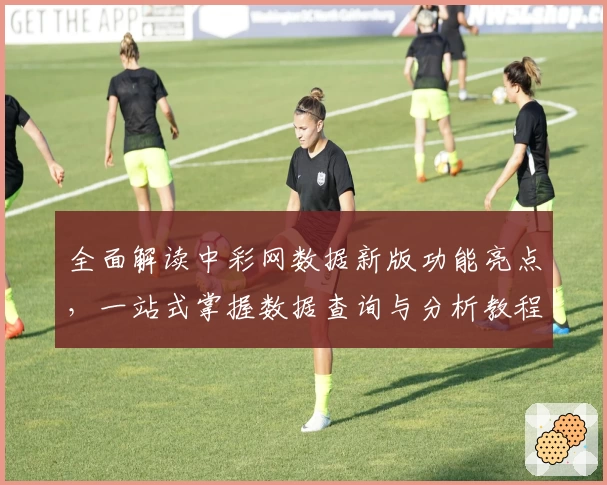 全面解读中彩网数据新版功能亮点，一站式掌握数据查询与分析教程