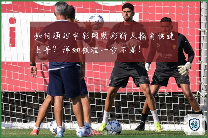如何通过中彩网购彩新人指南快速上手？详细教程一步不漏！