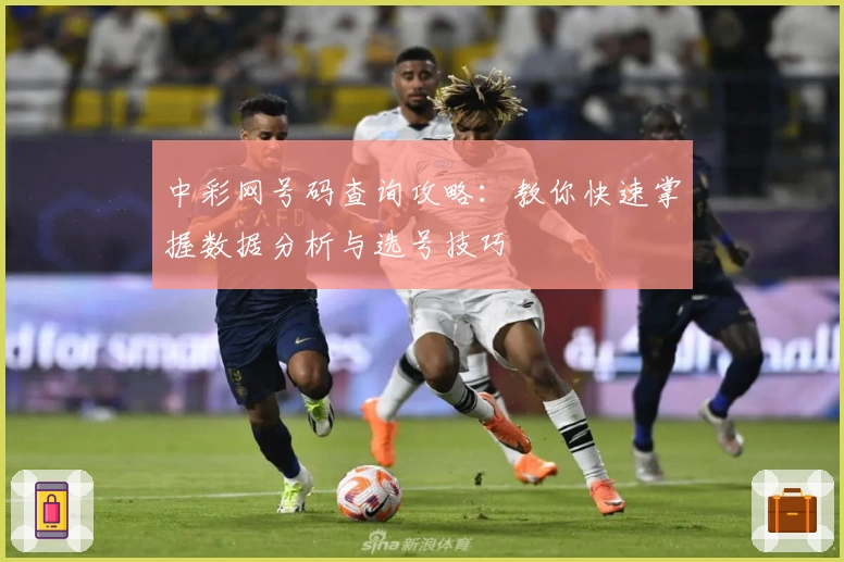 中彩网号码查询攻略：教你快速掌握数据分析与选号技巧