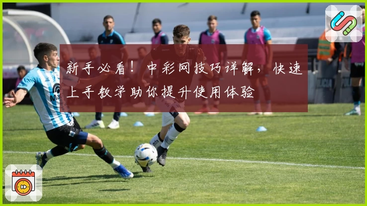 新手必看！中彩网技巧详解，快速上手教学助你提升使用体验