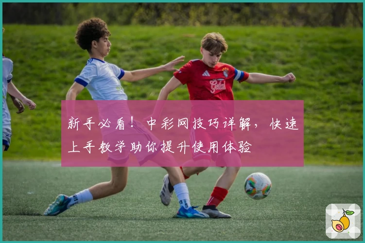 新手必看！中彩网技巧详解，快速上手教学助你提升使用体验