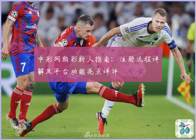 中彩网购彩新人指南：注册流程详解及平台功能亮点详评