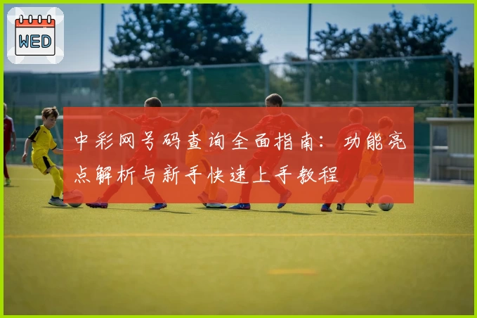 中彩网号码查询全面指南：功能亮点解析与新手快速上手教程